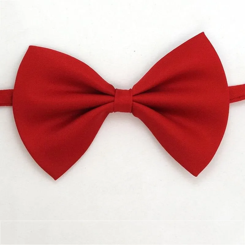 Noeud papillon pour chat Gentleman