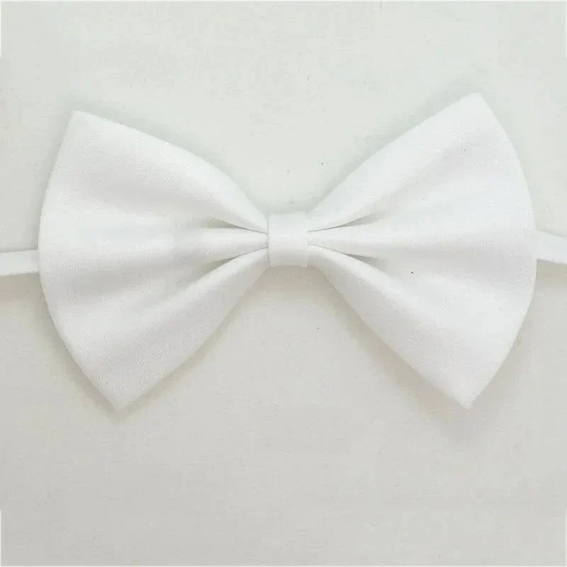 Noeud papillon pour chat Gentleman