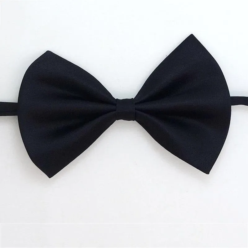 Noeud papillon pour chat Gentleman