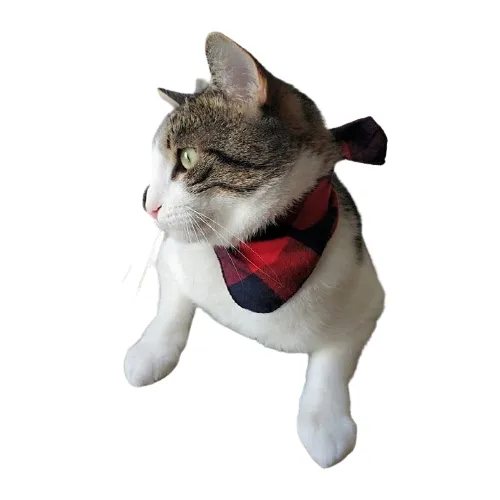 Bandana pour chat Western