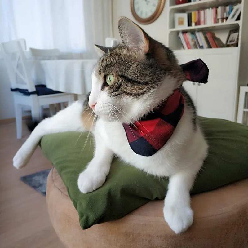 Bandana pour chat Western