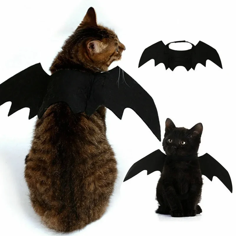 Déguisement de chauve souris Batcat