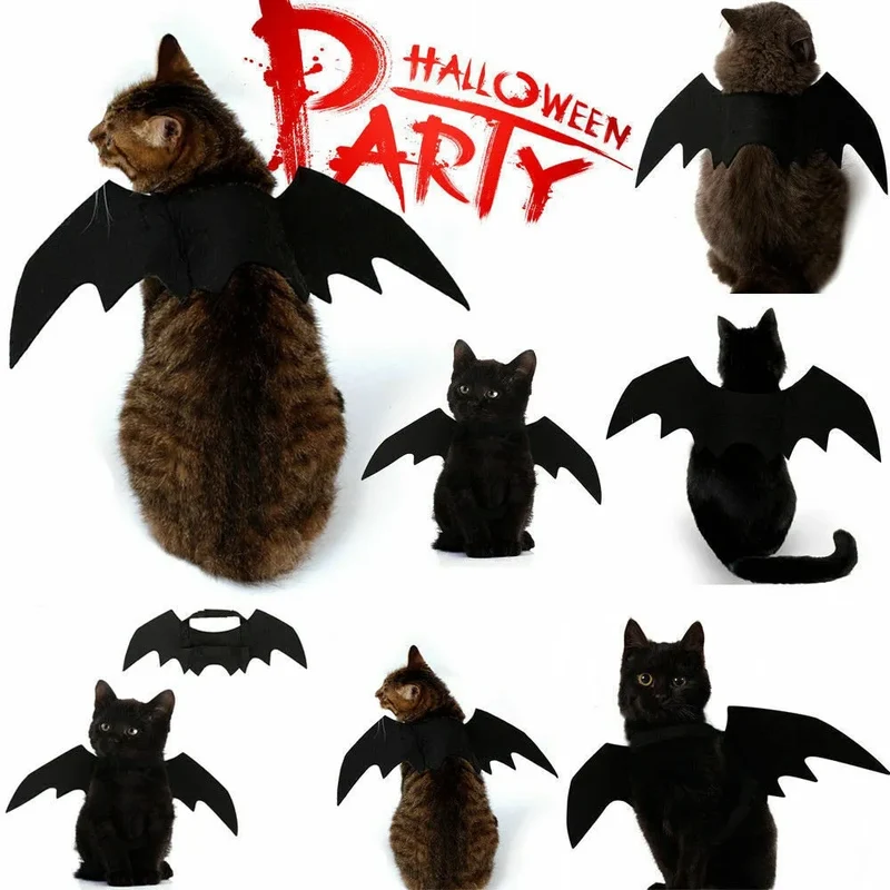 Déguisement de chauve souris Batcat