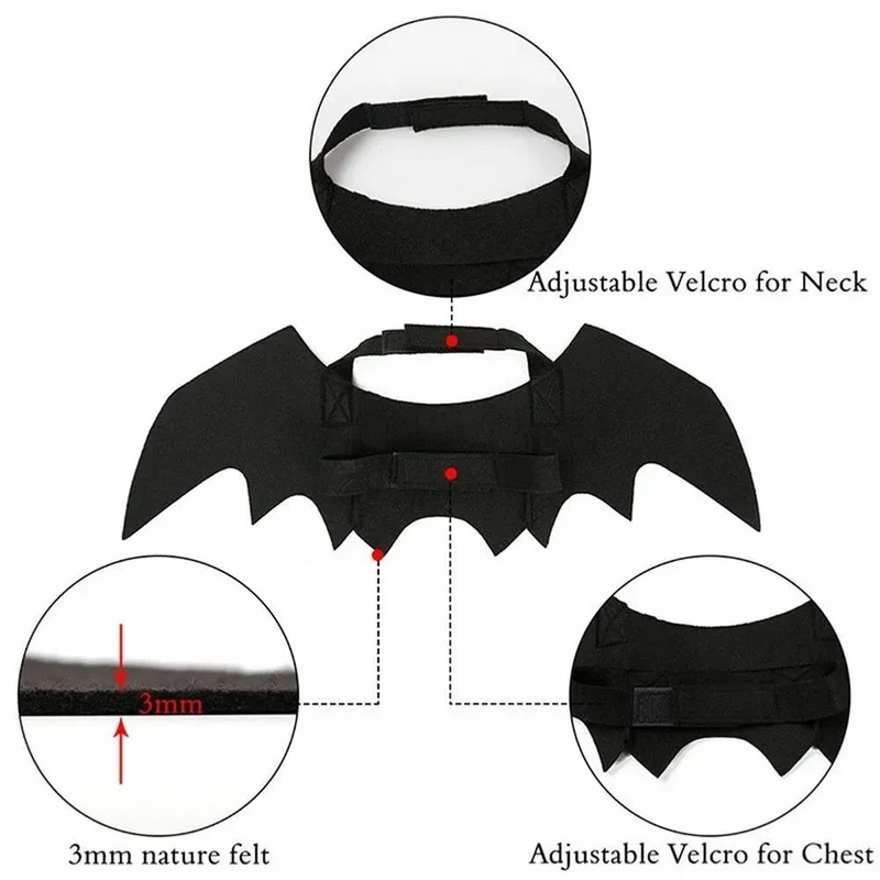 Déguisement de chauve souris Batcat