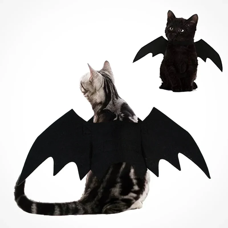 Déguisement de chauve souris Batcat