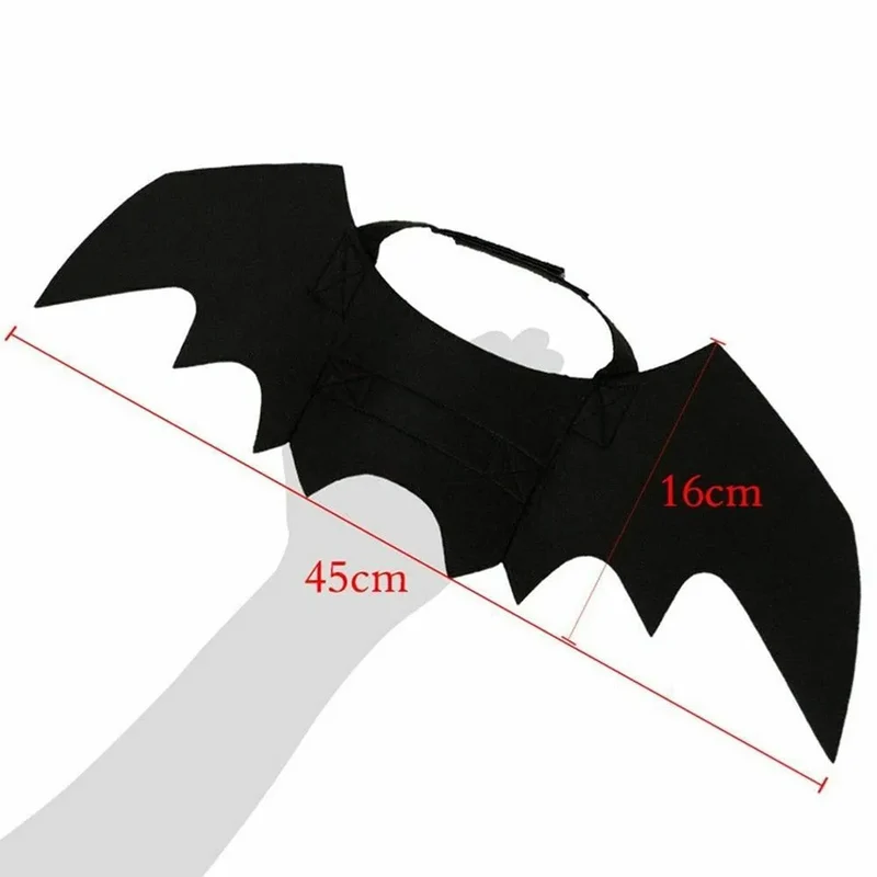 Déguisement de chauve souris Batcat