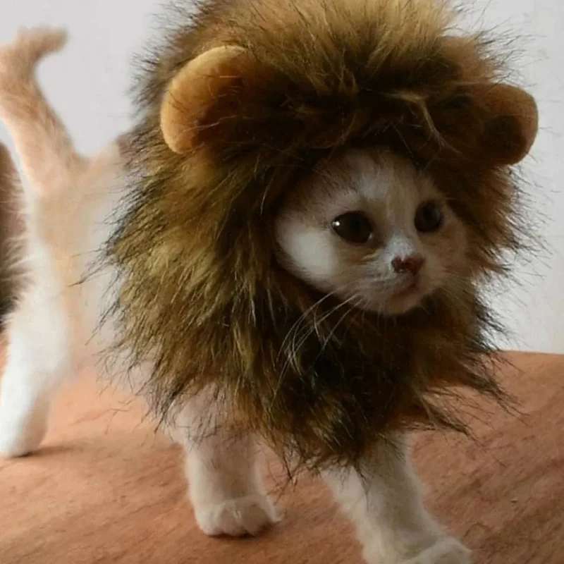 Costume pour chat Lion