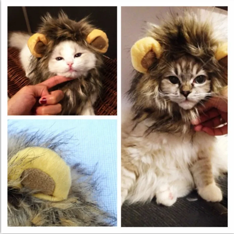 Costume pour chat Lion
