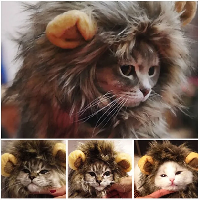 Costume pour chat Lion