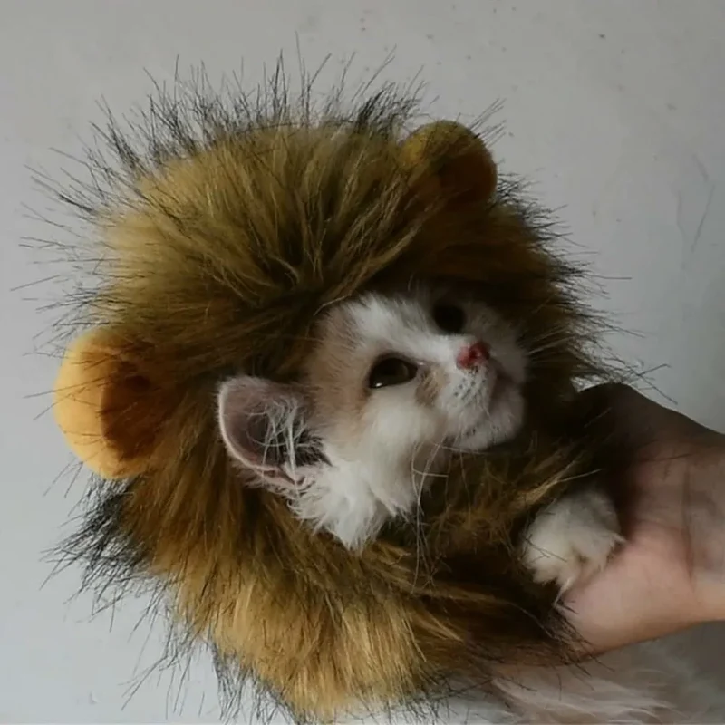Costume pour chat Lion