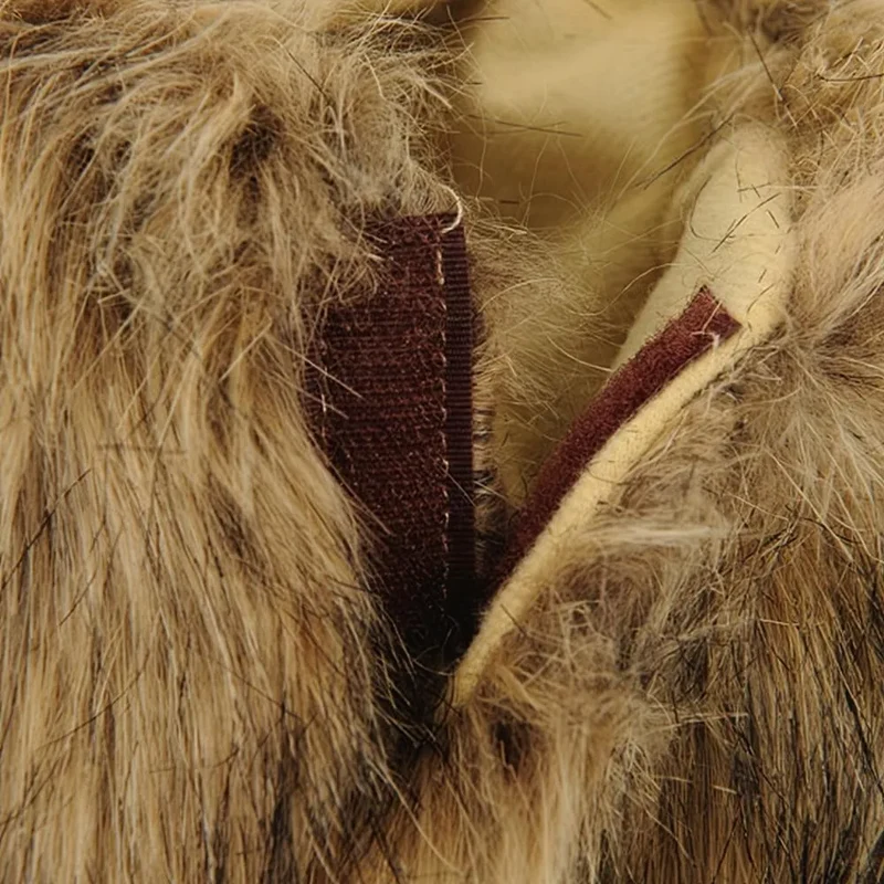 Costume pour chat Lion
