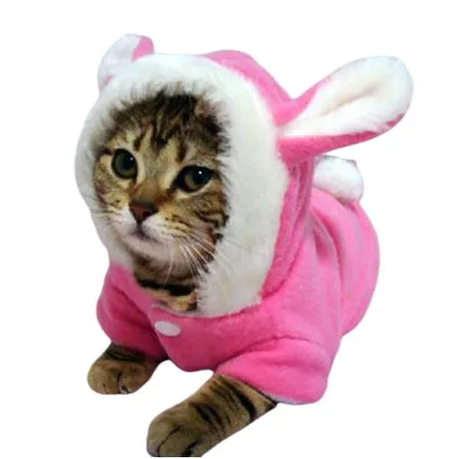 Veste avec oreilles de lapin