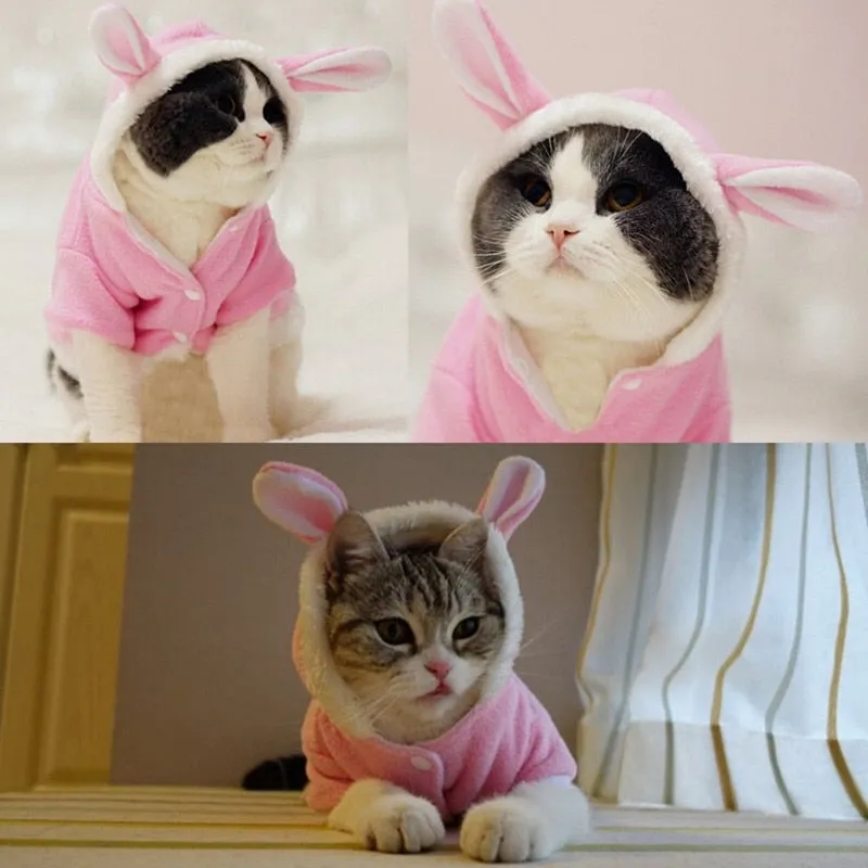 Veste avec oreilles de lapin