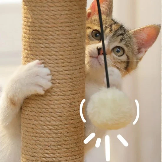 Griffoir pour chat : Poteau sisal bois - CatPlay