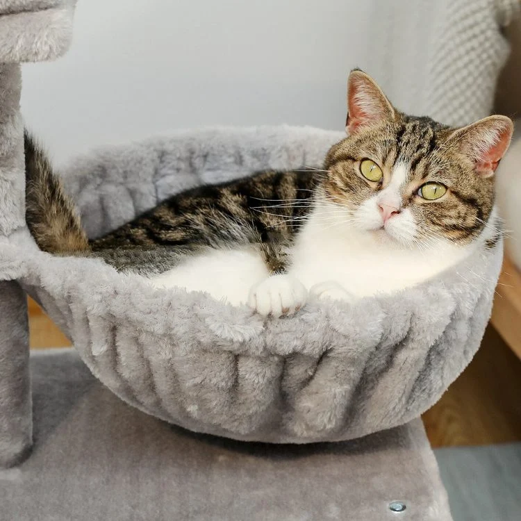 Petit arbre a chat avec griffoir poteau chat