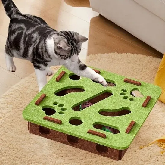 Jouet chat interactif | Cache-Cache Furtif