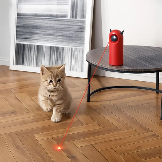 Laser pour chat | Point Ludique