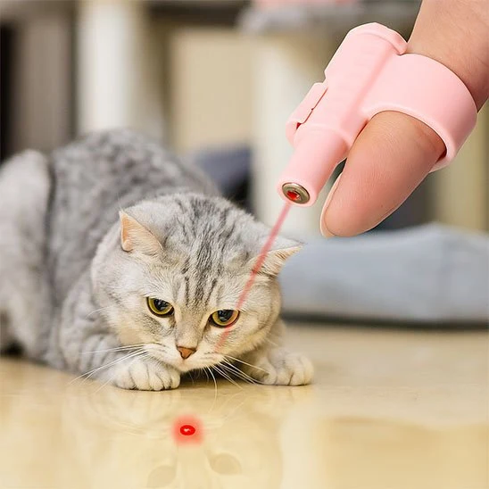 Jouet chat interactif | Lumière de Chasse