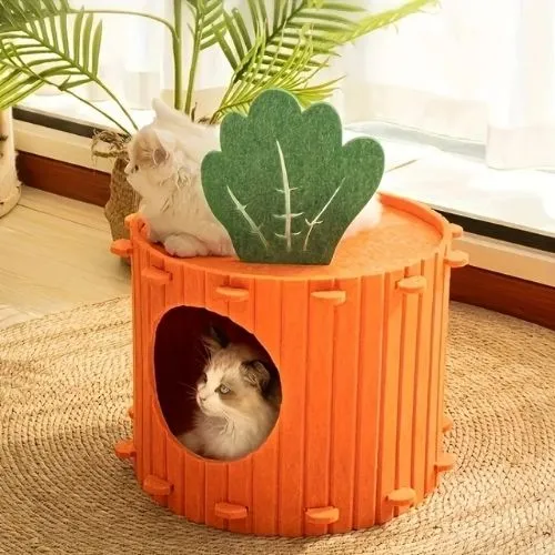 cabane pour chat carotte
