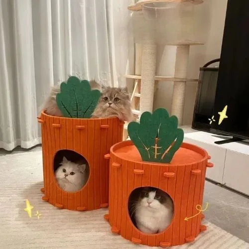cabane pour chat carotte