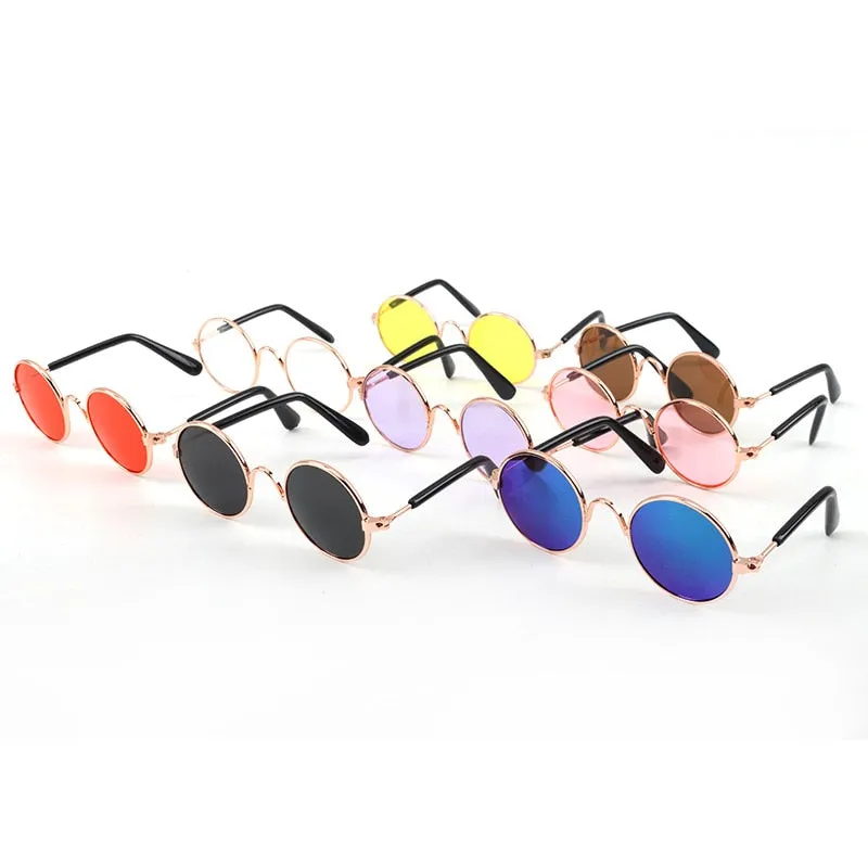 Lunettes de soleil pour chat