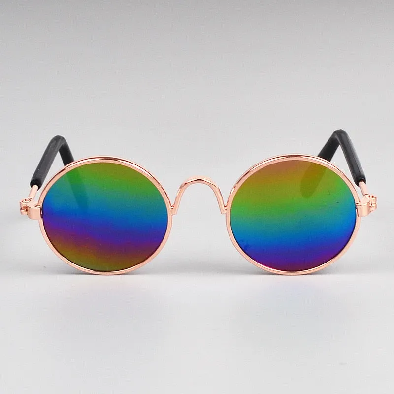 Lunettes de soleil pour chat