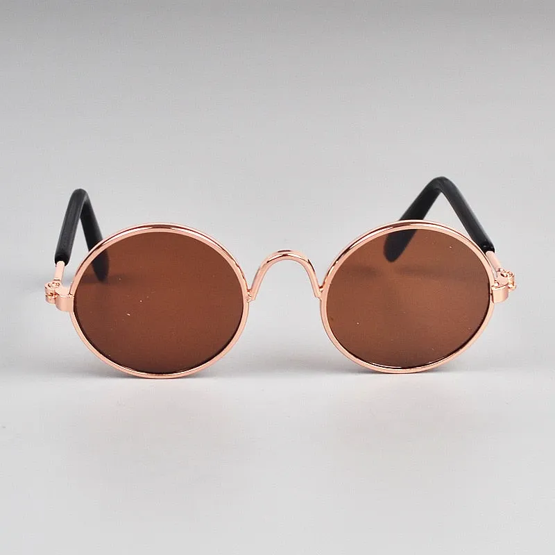 Lunettes de soleil pour chat