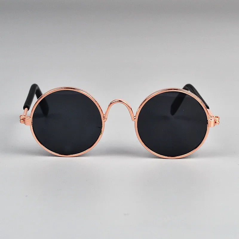 Lunettes de soleil pour chat