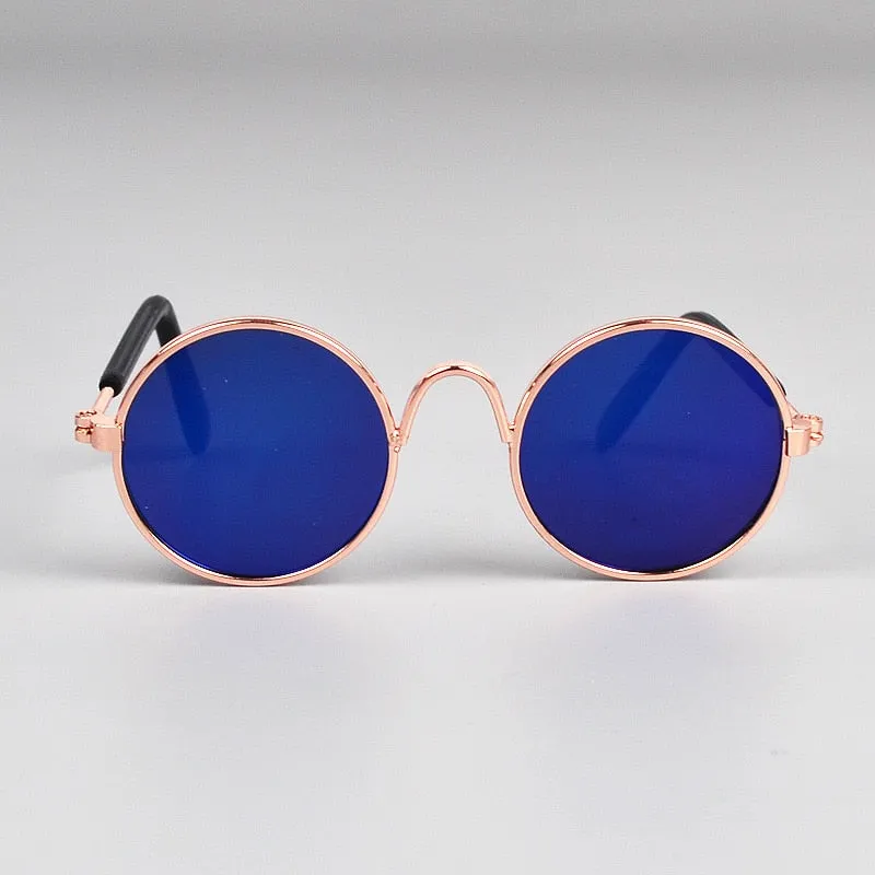 Lunettes de soleil pour chat