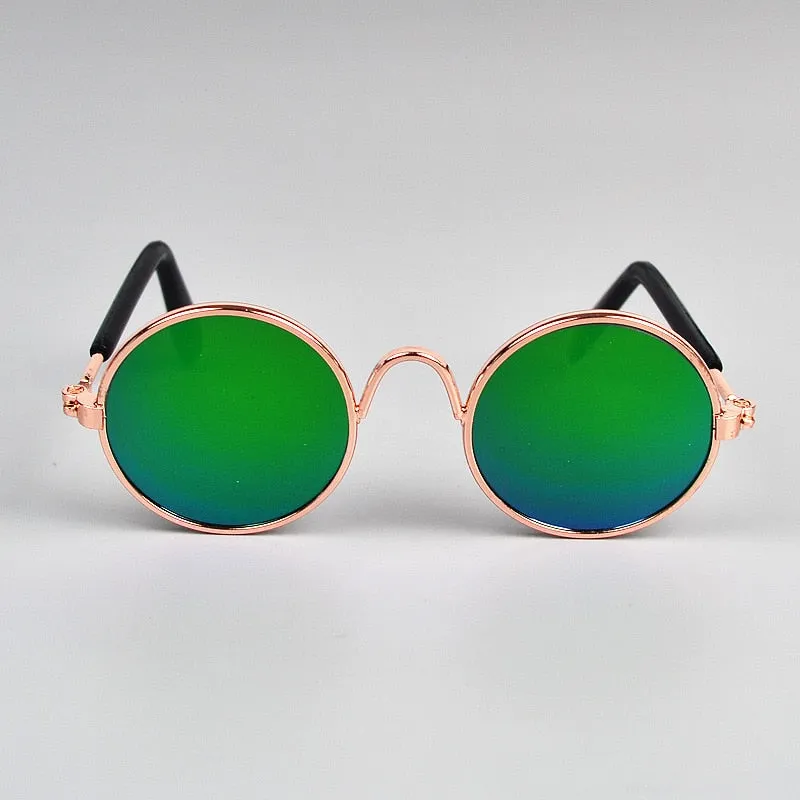 Lunettes de soleil pour chat