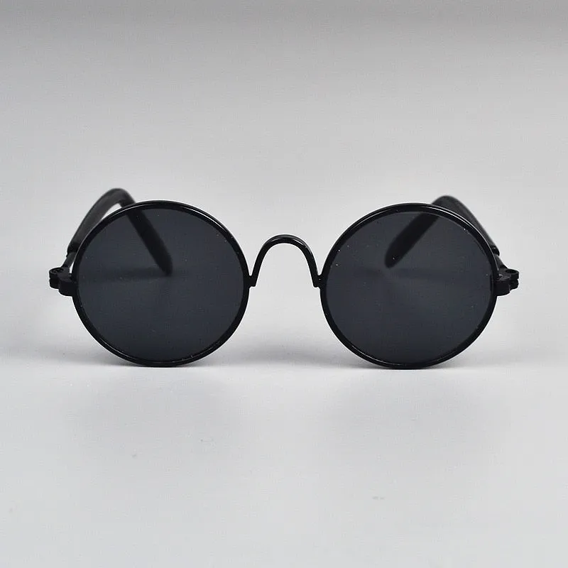 Lunettes de soleil pour chat