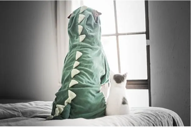 Costume pour chat Dinosaure