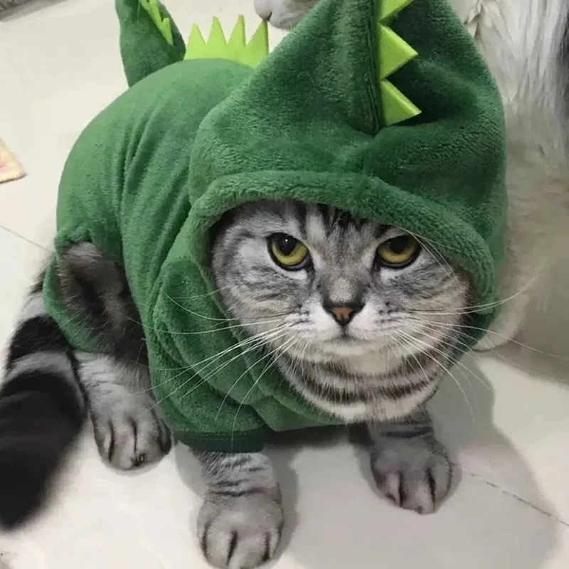 Costume pour chat Dinosaure