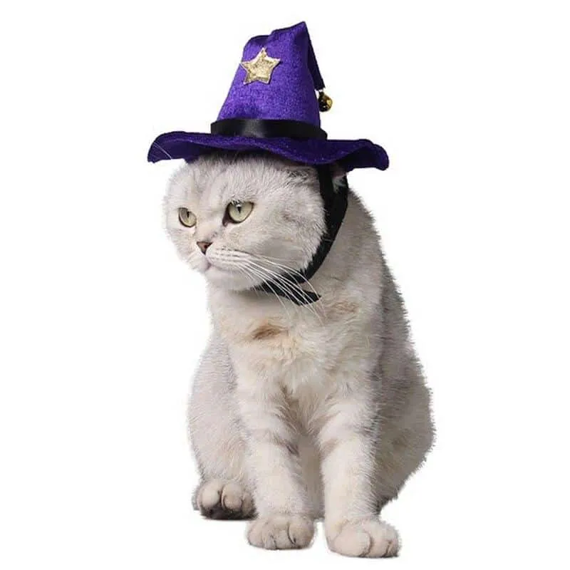 Chapeau de sorcier