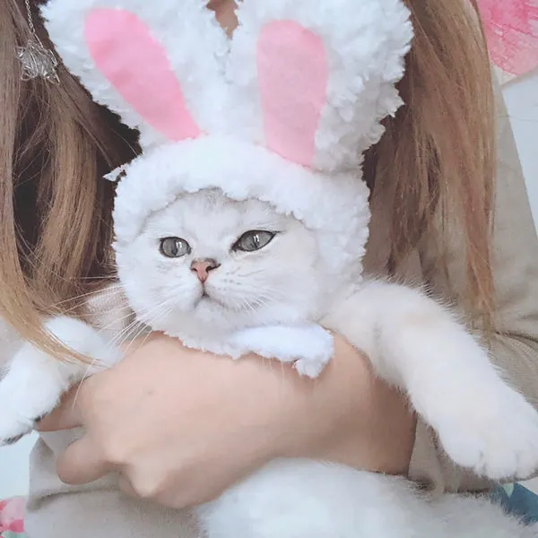 Déguisement pour chat Lapin