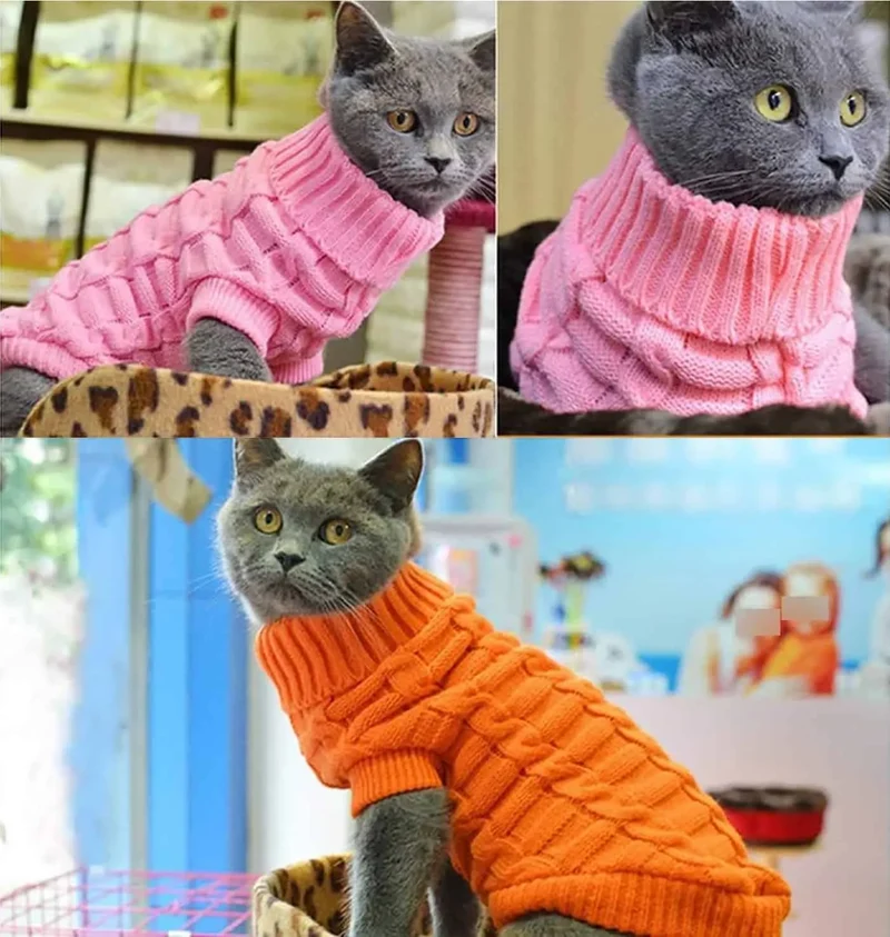 Pull pour chat en coton