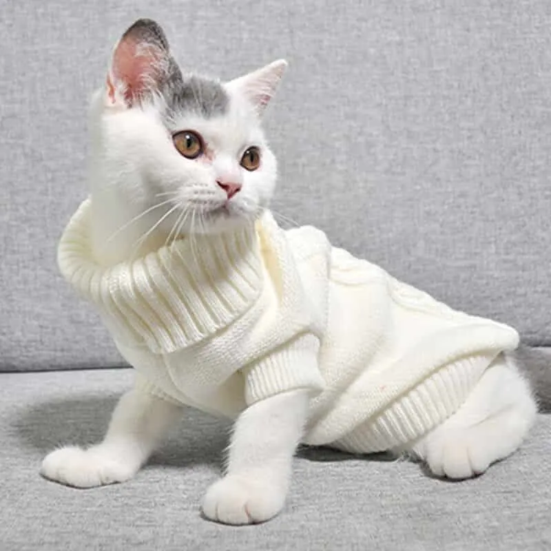 Pull pour chat en coton