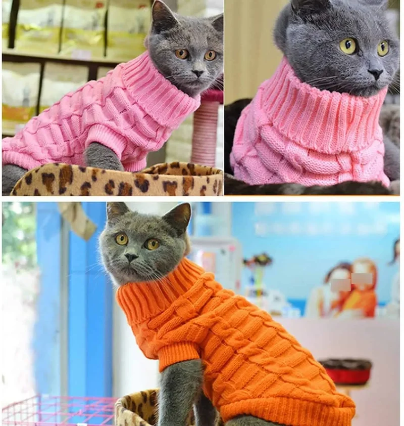 Pull pour chat en coton