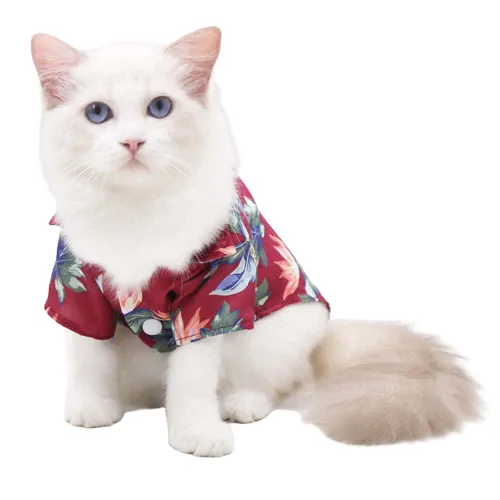 Tee shirt pour chat Hawaï