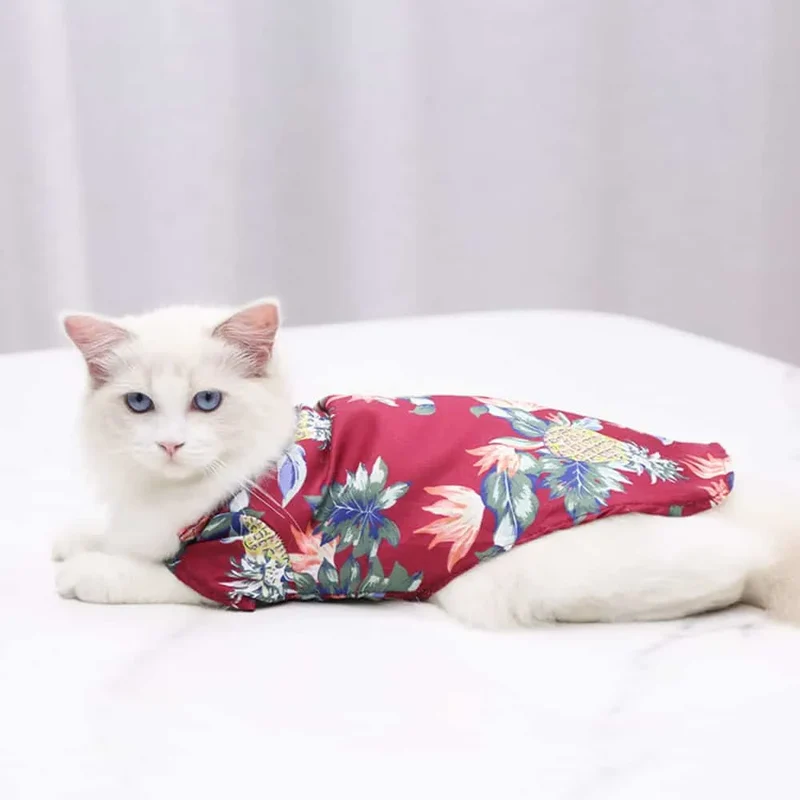 Tee shirt pour chat Hawaï