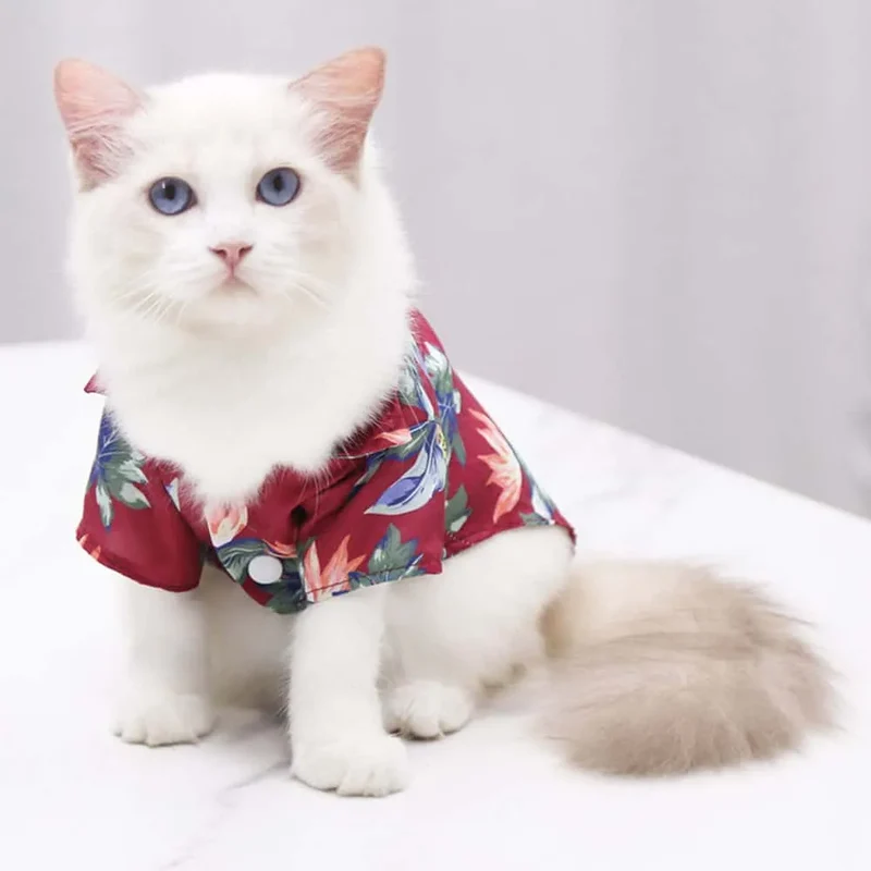 Tee shirt pour chat Hawaï