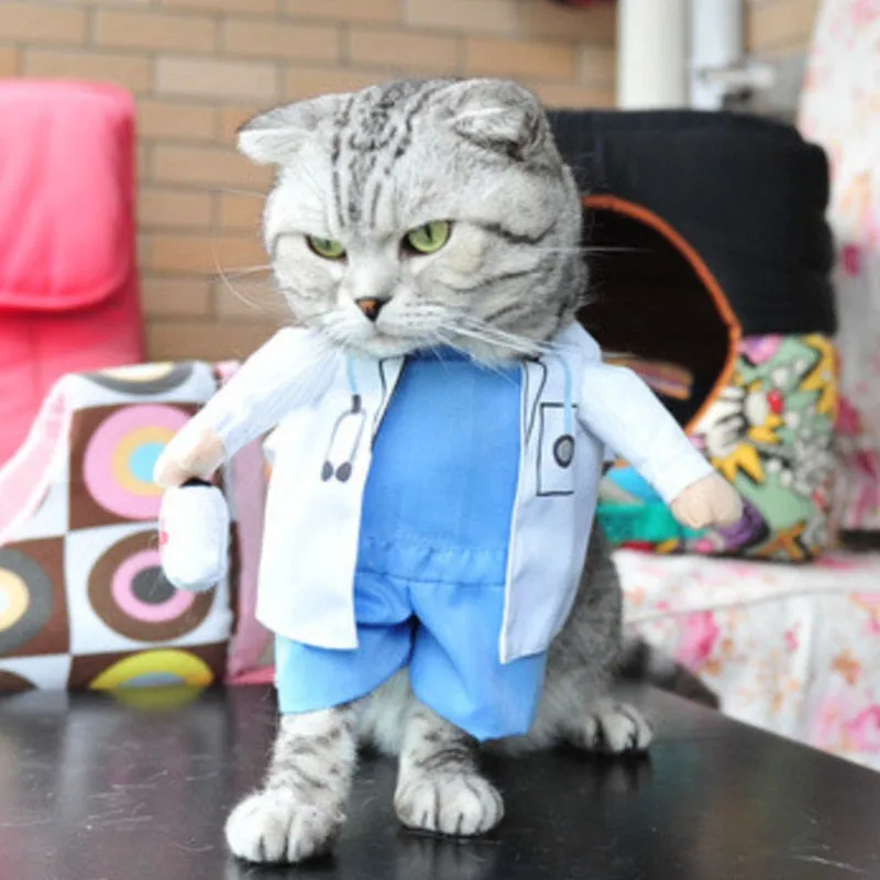Costume pour chat Docteur