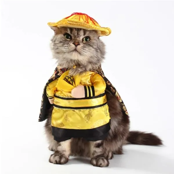 Costume pour chat L'empereur