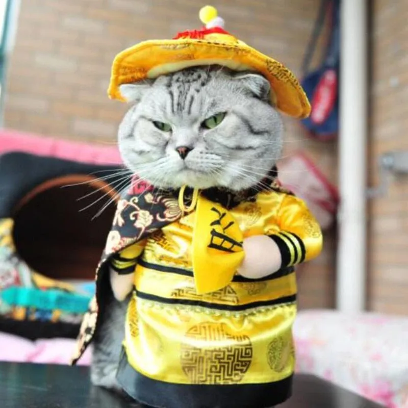Costume pour chat L'empereur