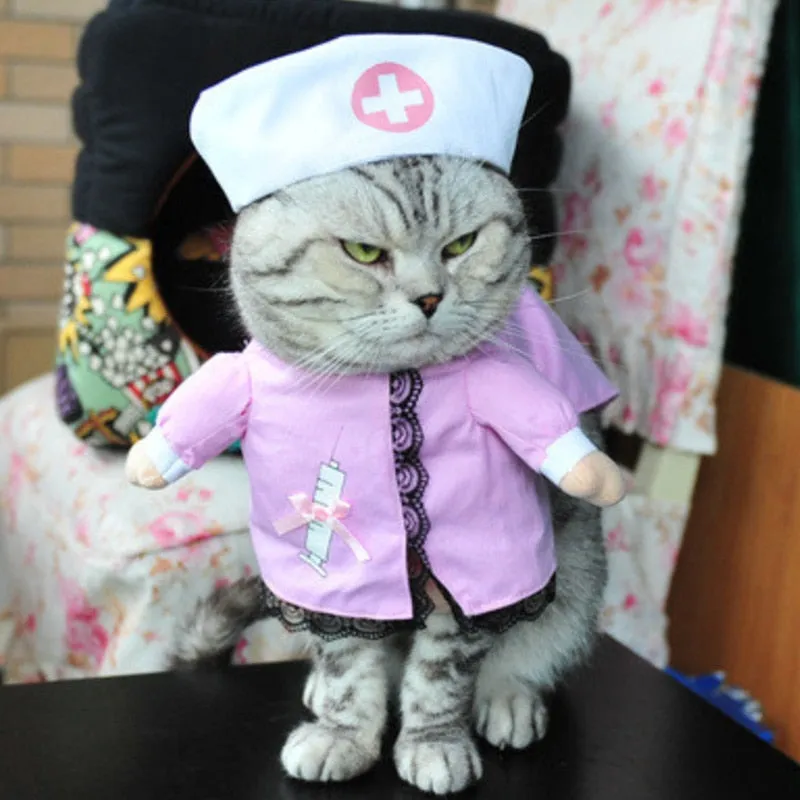 Costume pour chat Infirmière