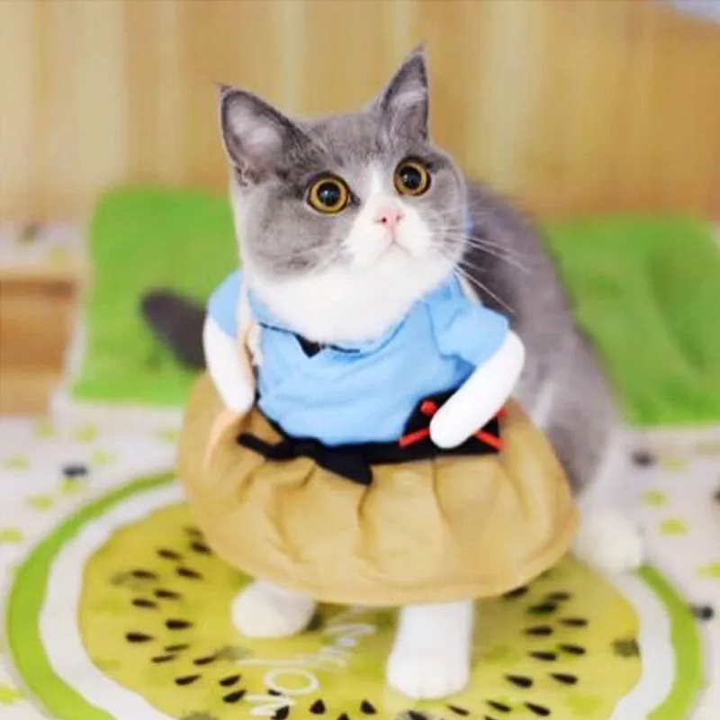 Costume pour chat Samouraï