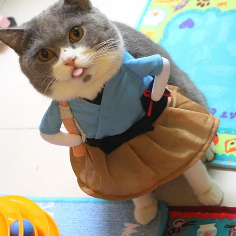 Costume pour chat Samouraï
