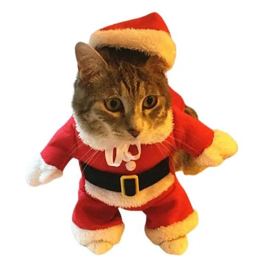 Costume pour chat Père Noël