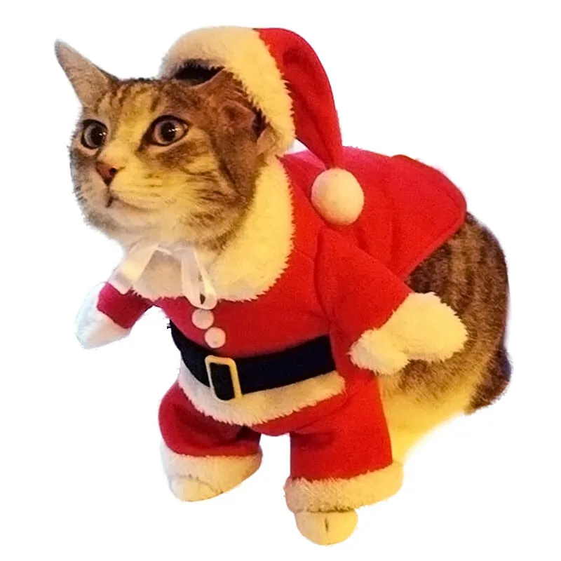 Costume pour chat Père Noël