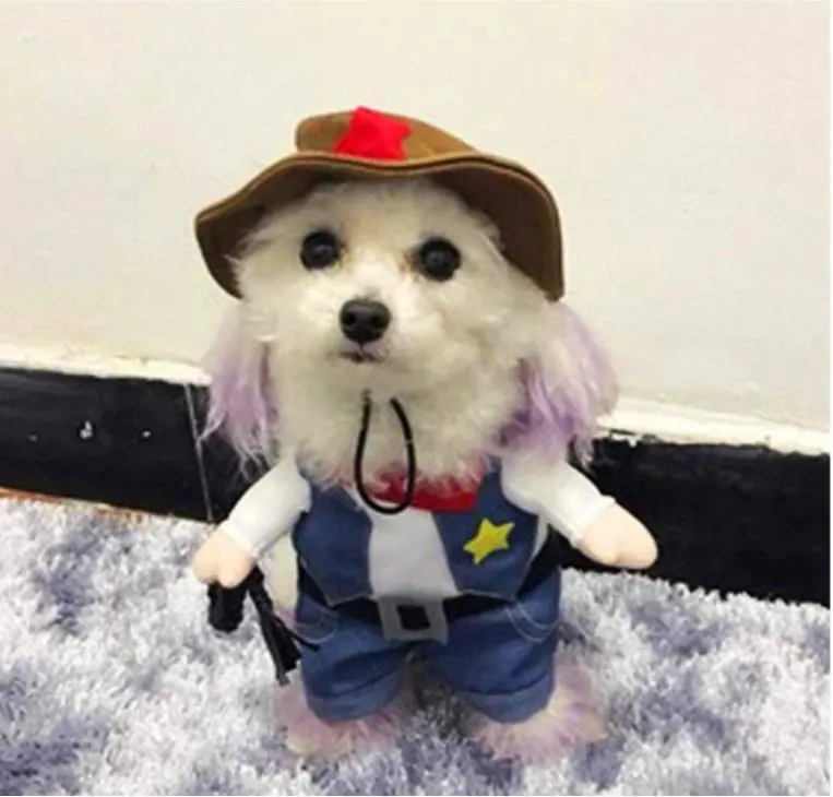 Costume pour chat Shérif